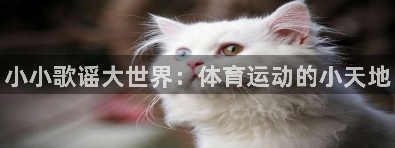 利记官网下载招商电话号码是多少啊:小小歌谣大世界:体育运动的